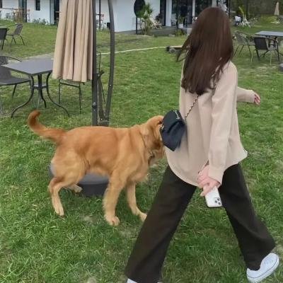 狐门秘事第一季